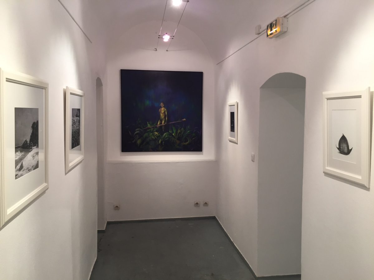 Exposition Galerie Detais